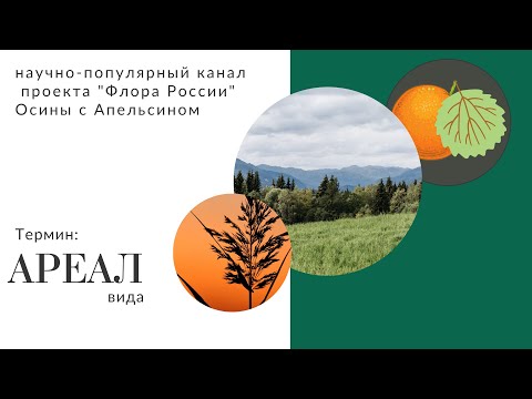 Видео: "Ареал вида": минутка географии растений