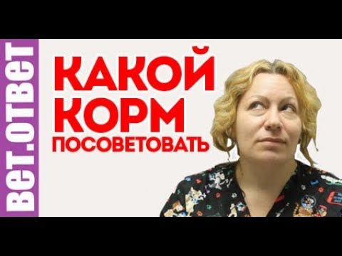 Видео: Какой корм вы посоветуете? ВетОтвет