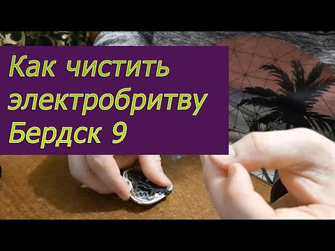 Видео: Бердск 9. Как чистить электробритву