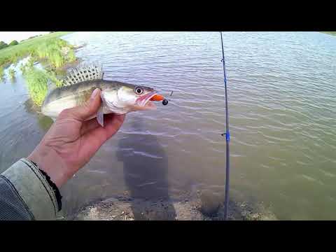 Видео: Спиннинг Kaida Lexus Sapphire Spin 2,4 метра, тест 3-15