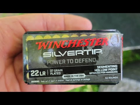 Видео: Обзор патронов Winchester Silvertip 22LR: баллистический гель, хронограф и группы