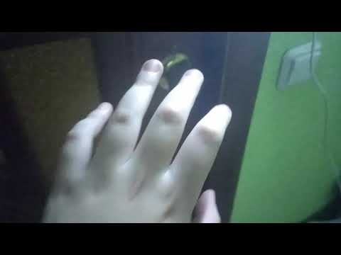 Видео: Пять ночей с плюшевыми игрушками! ночь 1