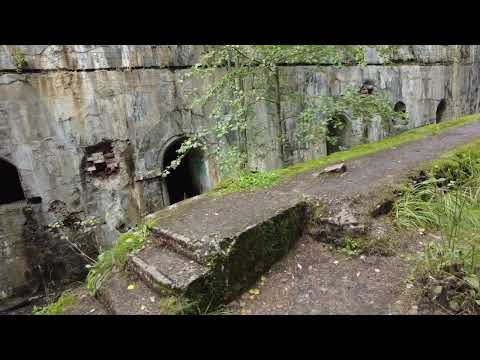 Видео: Парк Монрепо с обратной стороны ...