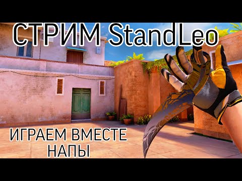 Видео: ИГРАЕ ВМЕСТЕ НАПЫ|ДУЭЛИ И ПРОСТО ЧИЛИМ В StandLeo 3.0#standleo#приватка#standknife