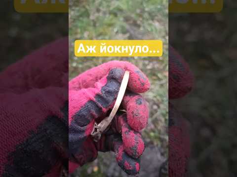 Видео: #коп #золото #серебро