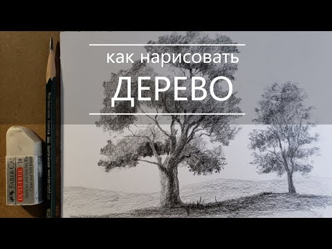 Видео: Как нарисовать дерево карандашом поэтапно