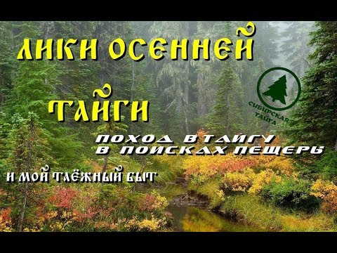 Видео: Лики осенней тайги.Поход в тайгу в поисках пещеры и мой таёжный быт