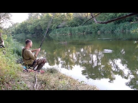 Видео: ЛОВЛЯ РЫБЫ В ЖАРУ НА ВЕЧЁРКЕ. Рыбалка на плотву. Рыбалка на поплавок.