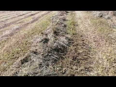 Видео: испытание самодельных граблей