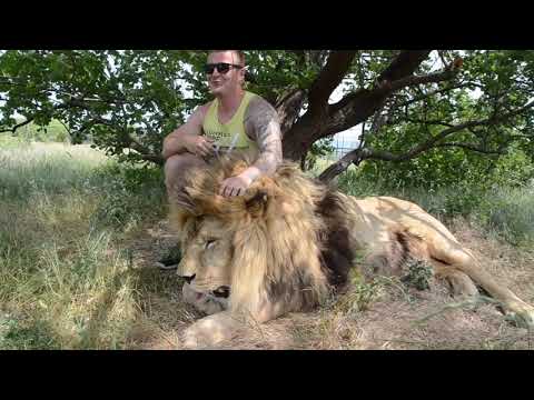 Видео: " МАША , ТЫ ВИДИШЬ ТОЖЕ ЧТО И Я ????Masha, do we both see the same???