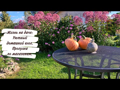 Видео: Жизнь на даче: Уютный домашний влог. Прогулка по магазинам.