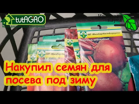 Видео: КАКИЕ СОРТА МОРКОВИ и СВЁКЛЫ СЕЯТЬ ПОД ЗИМУ. Правила посева семян под зиму.