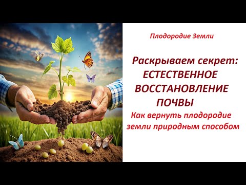 Видео: 🔥Как создаётся плодородие🔥Восстанавливаем плодородие природным способом №607/24