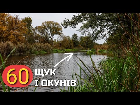 Видео: Да ЩО ви знаєте про кльов на Чорних Камнях-річка Уж