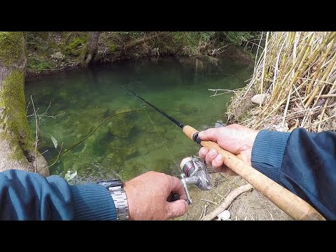 Видео: Дикая природа Крита РЫБАЛКА на горной речке // Облако с Африки Nature Crete Fishing mountain river