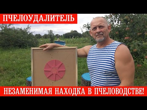 Видео: Пчелоудалитель - незаменимая находка в пчеловодстве!