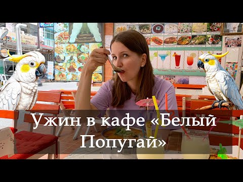 Видео: Vlog 130 - Ужин в кафе Белый Попугай в Паттайе. Рассказываем как потеряли GoPro.