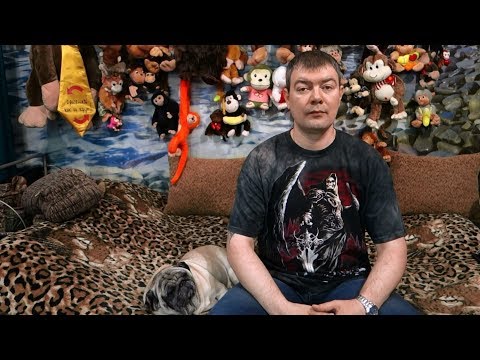 Видео: Сколько рыбок можно запустить в аквариум? Часть 2 - Аквариумы от 50 до 100 литров.