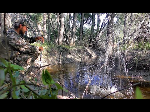 Видео: МОНСТРЫ В РУЧЬЕ!!!ШОКИРУЮЩАЯ РЫБАЛКА!!!!! Рыбалка мечты на поплавок!!Крупный язь,окунь.