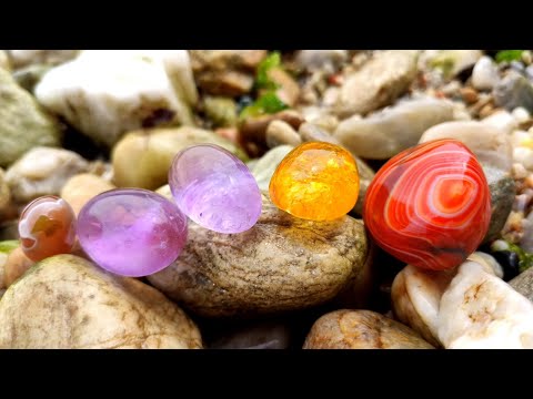 Видео: Пляж из драгоценных камней, стаи омаров, жемчужины гребешков