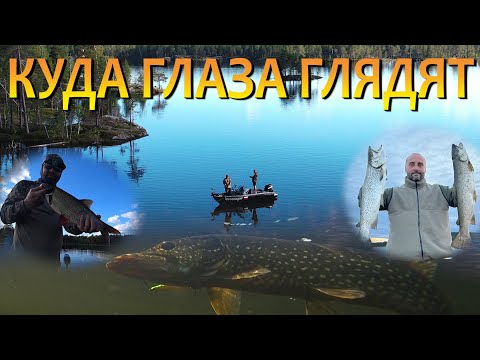 Видео: РЫБАЧИМ В КАРЕЛЬСКОЙ ТАЙГЕ И ЖИВЕМ В ЗАБРОШЕННОЙ ДЕРЕВНЕ! ЕДИМ СВЕЖУЮ РЫБУ! СТАВИМ ПЕРЕМЕТ!