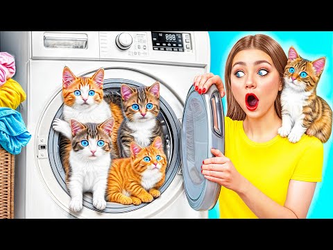 Видео: Строим Секретные Домики для Котят c Multi DO Smile