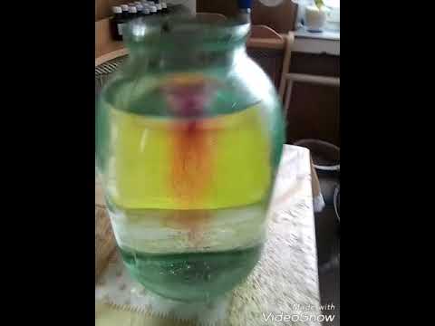 Видео: Изготовление браги на берёзовом соке,коньяк на берёзовом соке