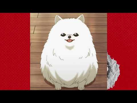 Видео: полматери - псы попадут в рай (Slowed + Reverb)