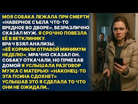 Видео: Надеюсь эта псина сдохнет! Сказал мой муж и хотел отравить мою собаку!