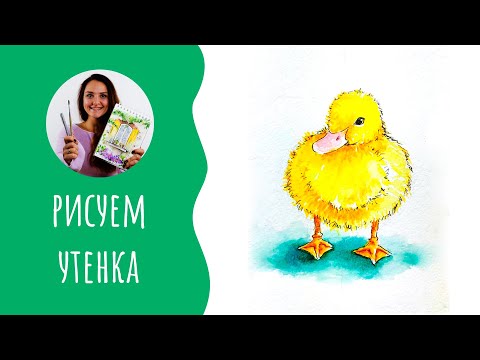 Видео: Как нарисовать уточку. Урок рисования. Скетчинг для начинающих.