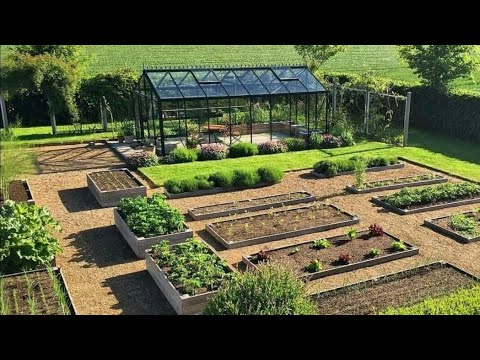 Видео: 29 сентября 2025 г. Дайте совет 🤝