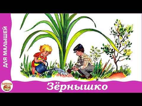 Видео: Зёрнышко. Стихи Ирины Токмаковой для малышей