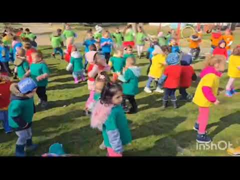 Видео: Хайде: по-добри ДГ “Делфин”