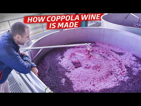 Видео: Как одна из крупнейших виноделен Калифорнии производит более 12 миллионов бутылок в год — Дэн Доус