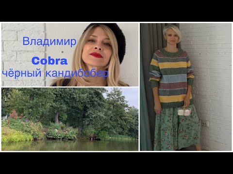 Видео: Про новый полосатик,красивый Владимир и реорганизацию