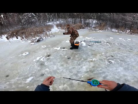 Видео: ЩОСЬ ЗНАЄ...Зимова ловля окуня і щуки на мормишку/Як наловити пасивного ХИЖАКА на мормишку?