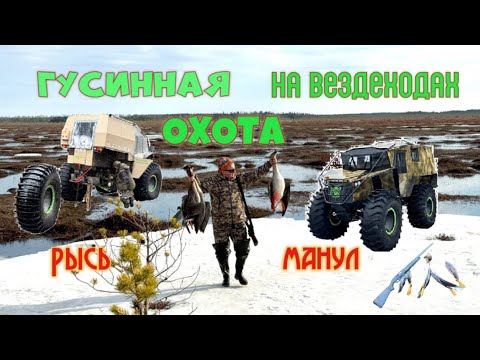 Видео: Шикарная ОХОТА НА ГУСЯ в Томской области на вездеходах РЫСЬ и МАНУЛ.  ХОЗЯЕВА ТАЙГИ. VneDoroG
