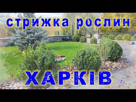 Видео: = СТРИЖКА РОСЛИН = Осіння в Харкові та Харківській області