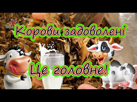 Видео: Силос Із суданки. 😋 Вийшло супер смачно!