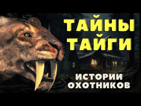 Видео: Необъяснимое в тайге/ Истории таёжных охотников/Охотничьи байки/Страшные истории