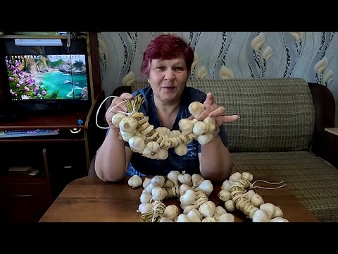 Видео: Продаю излишки Ярового чеснока.. Мне всё даром достаётся...