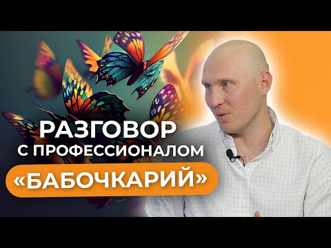 Видео: Ферма бабочек или бабочкарий? Как построить успешный бизнес на выведении бабочек? Новое интервью