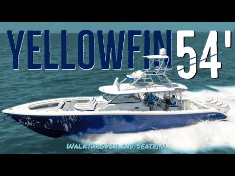 Видео: Желтоплавниковый 54-футовый бегемот!