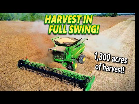 Видео: Урожай сои 2025 года с потрясающим комбайном John Deere S760
