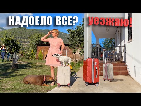 Видео: НАДОЕЛО ВСЕ! УЕЗЖАЮ ИЗ ДОМА! НА ПОИСКИ МУЖА!? Сумасшедший автобусный трип в консульство РФ #турция