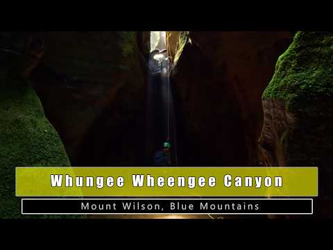 Видео: Интервью о каньоне Уханджи-Уханджи и первом спуске — каньон Голубых гор — 4K