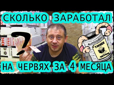 Видео: Разведение червей. Сколько заработал на дендробене за 4 месяца. Бизнес дома для мужчин.