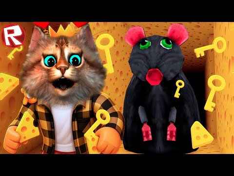 Видео: ПОПАЛ В СЫРНЫЙ ЛАБИРИНТ К ОГРОМНОЙ КРЫСЕ В РОБЛОКС (Cheese Escape Roblox) Котярыч