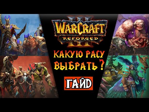 Видео: Какую расу выбрать ?//Warcraft 3 Reforged c нуля! Гайд №1