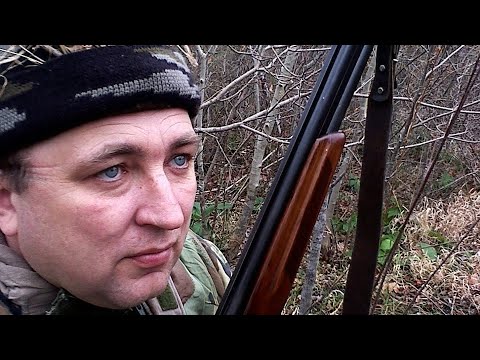Видео: Охота на вяхиря с чучелами